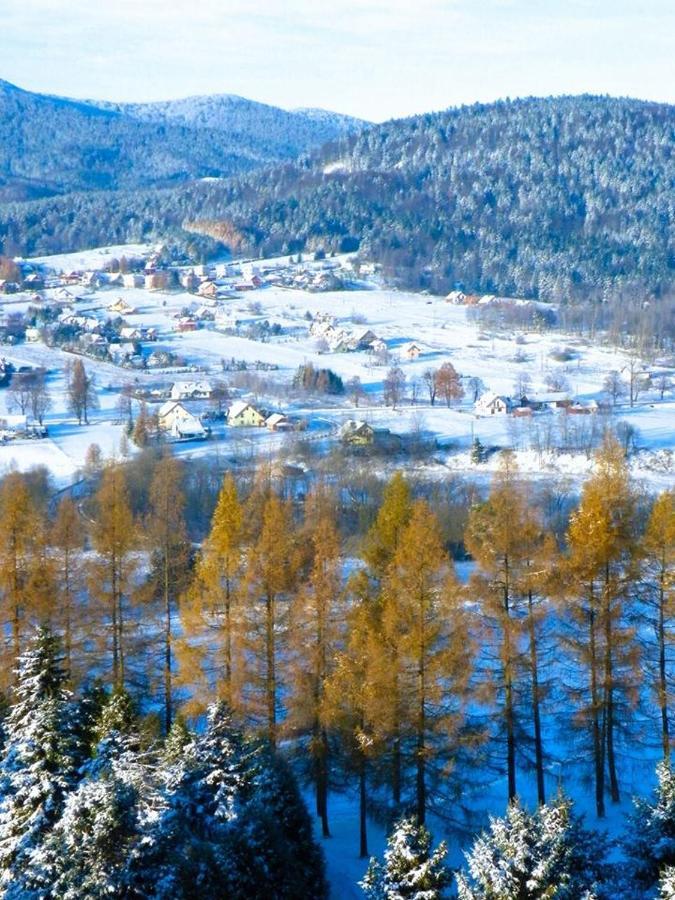Hotel Osrodek Uzdrowiskowy Beskid Wysowa-Zdrój Exteriér fotografie